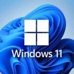 windows 11 logo